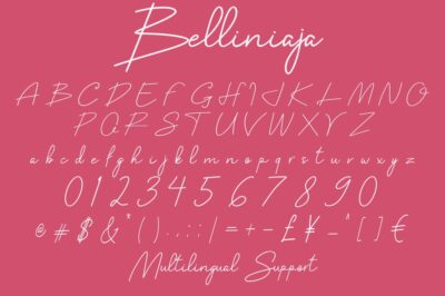 Belliniaja monoline font