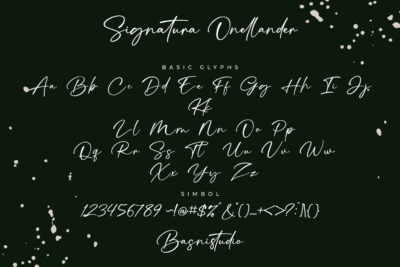Signatura Onellander a Handwritten Font - Image 11