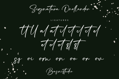 Signatura Onellander a Handwritten Font - Image 13