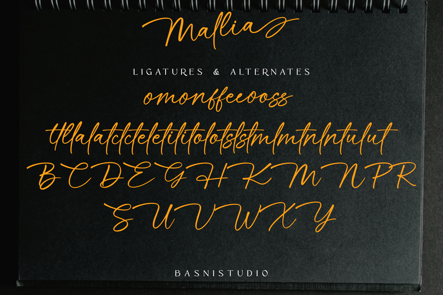 Mallia Handwritten Font - Image 10