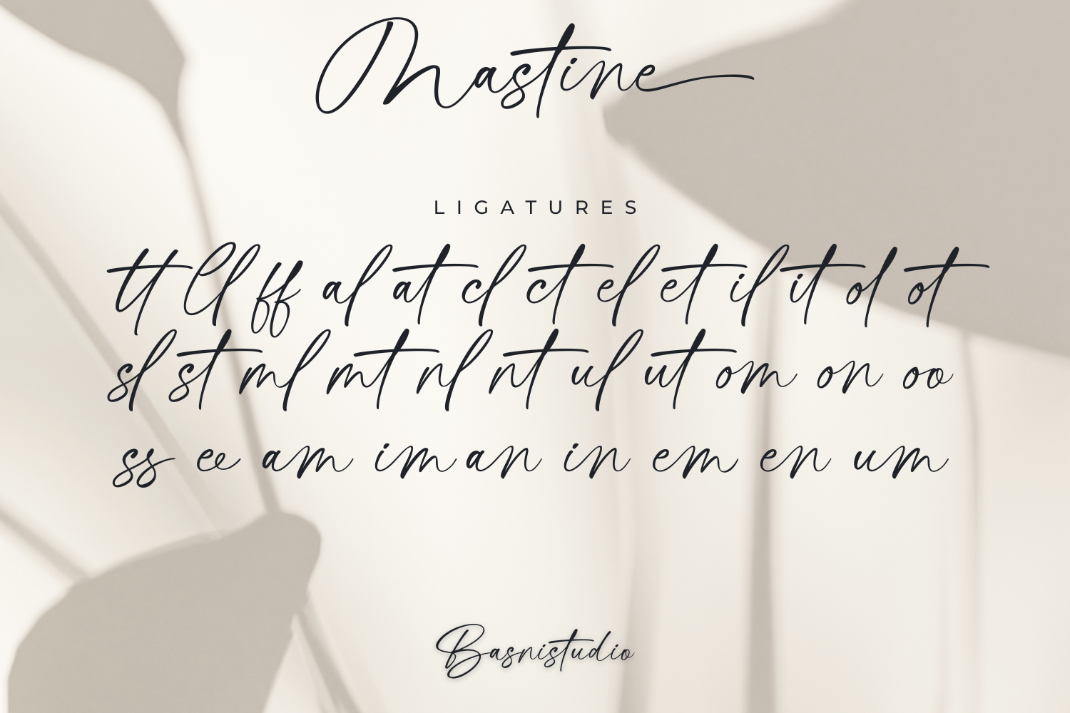 Mastine - Elegant Handwritten Font - Image 15